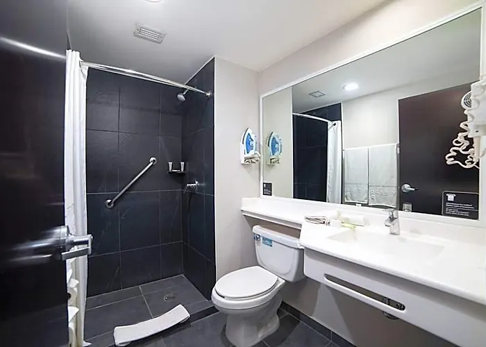 Express By Marriott Ciudad De Insurgentes Sur Hotel 3*