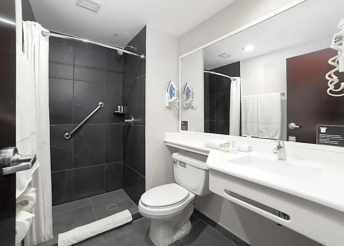 Hotel Express By Marriott Ciudad De Insurgentes Sur