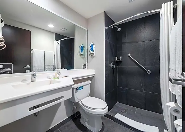 Express By Marriott Ciudad De Insurgentes Sur Hotel 3*